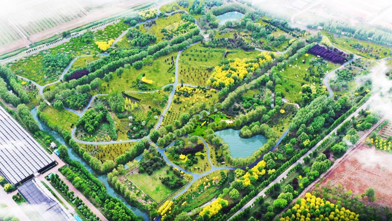 孔子草花園